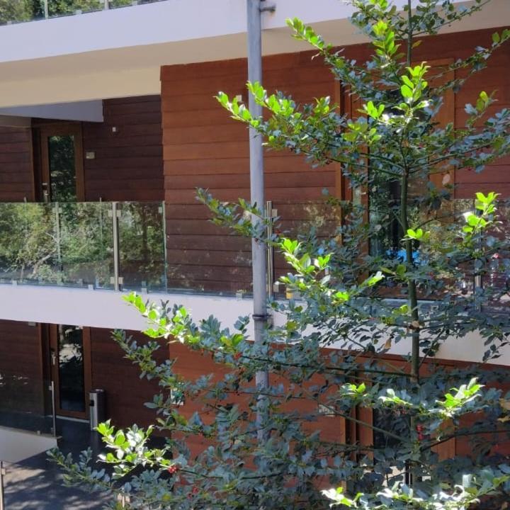 Hotel Playa Grande Suites Pucon Ngoại thất bức ảnh